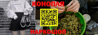 трава Пугачёв