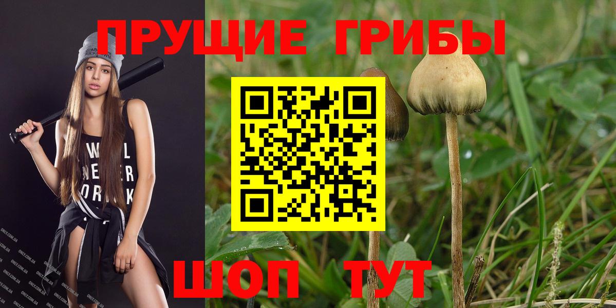 Псилоцибиновые грибы мухоморы Семёнов