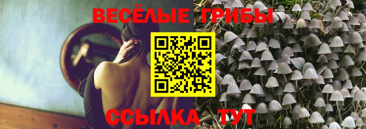 Семёнов  Псилоцибиновые грибы Psilocybe  Вход с VPN 